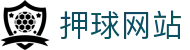 足球篮球实时比分直播与观看入口，附即时赔率查询